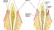 periodontologia kraków ALBUSDENT - Centrum Stomatologiczne